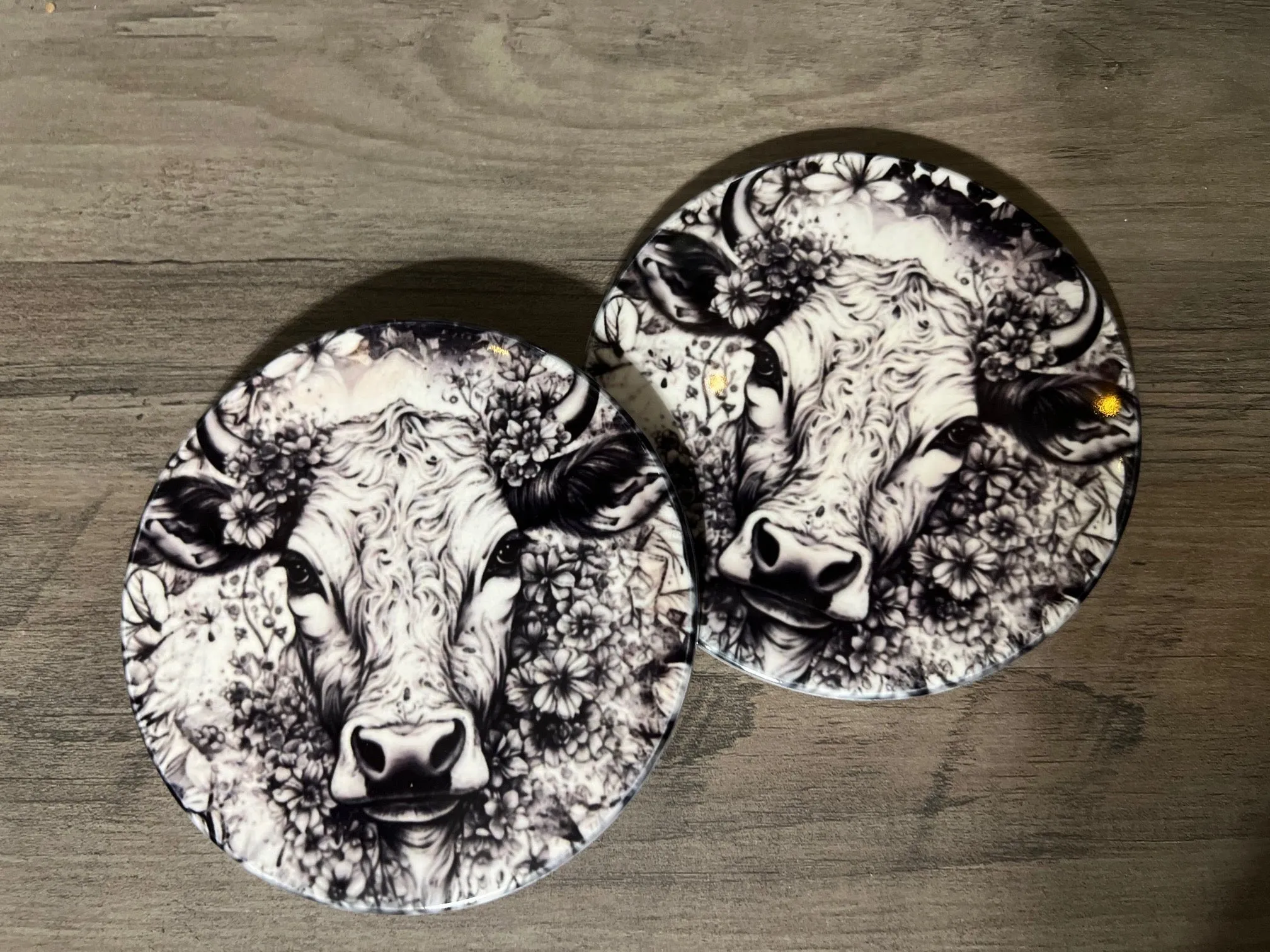 Western Themed Ceramic Coasters - Assorted
